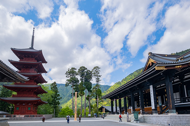 着地型コンテンツの企画・販売