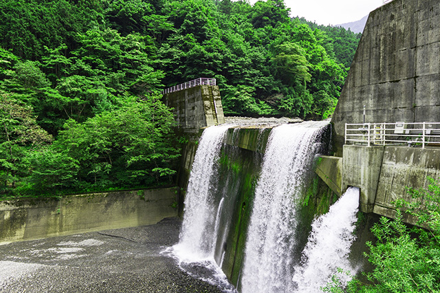 再生可能エネルギーの導入・活用の支援