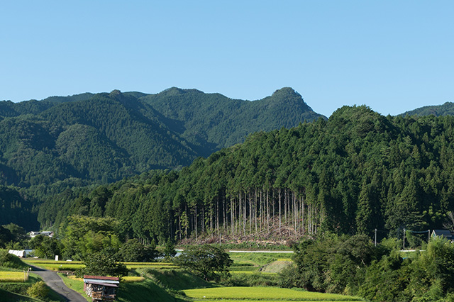 J-クレジットの創出・販売支援